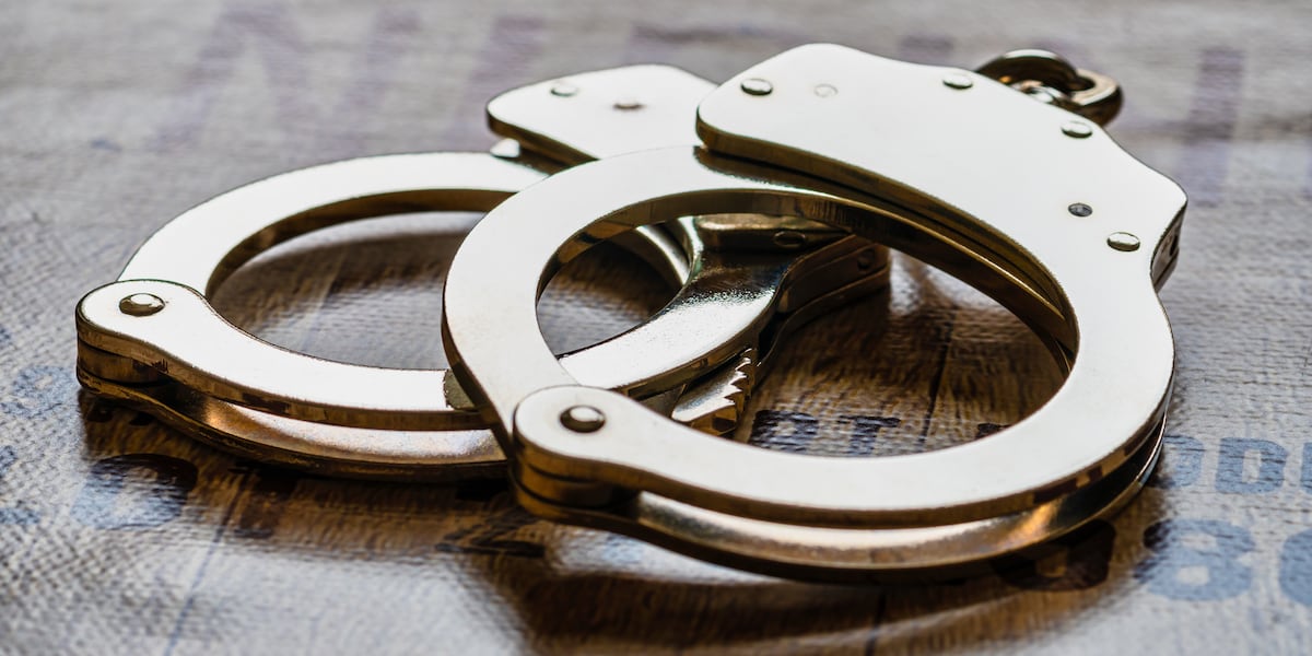 South Carolina AG Indicts Man on 125 Counts in $1.4 Million VINsanity Auto Loan Fraud Scheme